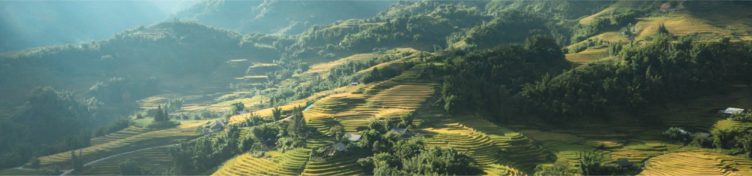 Lao Cai